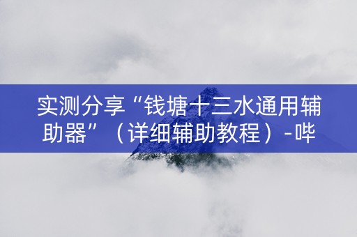 实测分享“钱塘十三水通用辅助器”（详细辅助教程）-哔哩哔哩