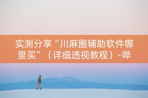 实测分享“川麻圈辅助软件哪里买”（详细透视教程）-哔哩哔哩
