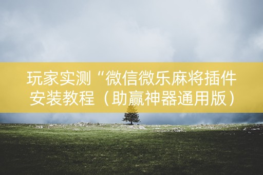 玩家实测“微信微乐麻将插件安装教程（助赢神器通用版）