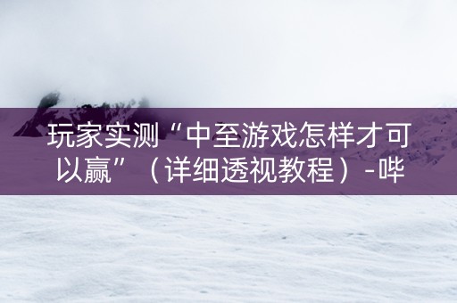 玩家实测“中至游戏怎样才可以赢”（详细透视教程）-哔哩哔哩