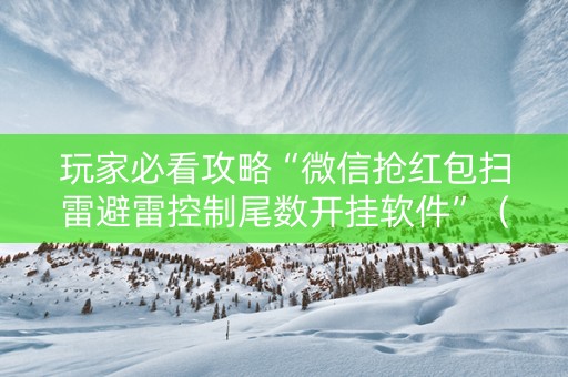 玩家必看攻略“微信抢红包扫雷避雷控制尾数开挂软件”（详细透视教程）-哔哩哔哩