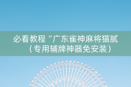 必看教程“广东雀神麻将猫腻（专用辅牌神器免安装）