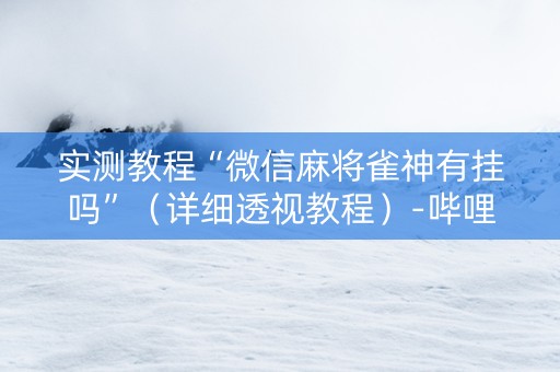 实测教程“微信麻将雀神有挂吗”（详细透视教程）-哔哩哔哩