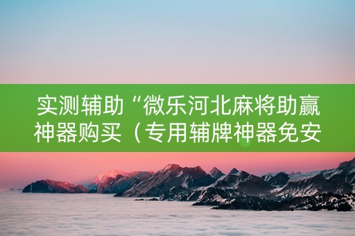 实测辅助“微乐河北麻将助赢神器购买（专用辅牌神器免安装）