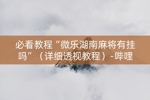 必看教程“微乐湖南麻将有挂吗”（详细透视教程）-哔哩哔哩