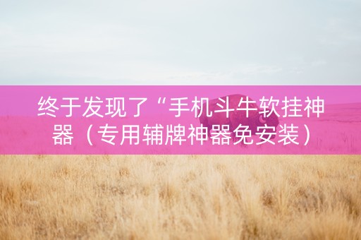 终于发现了“手机斗牛软挂神器（专用辅牌神器免安装）