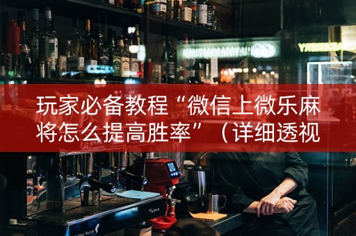 玩家必备教程“微信上微乐麻将怎么提高胜率”（详细透视教程）-哔哩哔哩