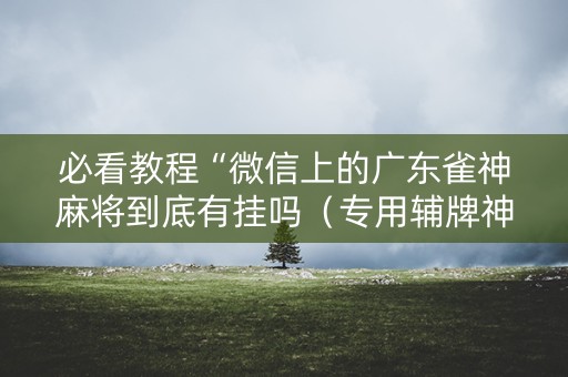 必看教程“微信上的广东雀神麻将到底有挂吗（专用辅牌神器免安装）