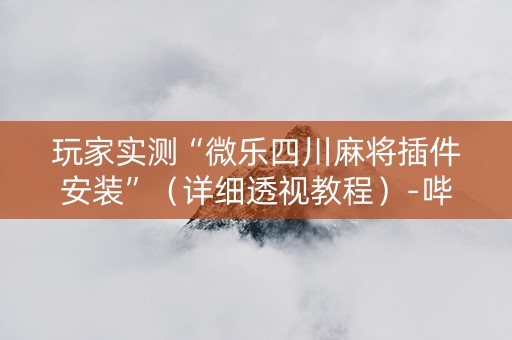 玩家实测“微乐四川麻将插件安装”（详细透视教程）-哔哩哔哩