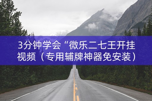 3分钟学会“微乐二七王开挂视频（专用辅牌神器免安装）