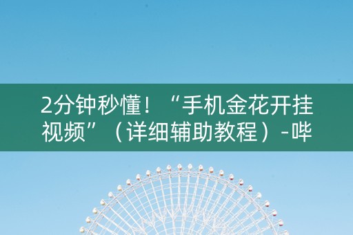 2分钟秒懂！“手机金花开挂视频”（详细辅助教程）-哔哩哔哩