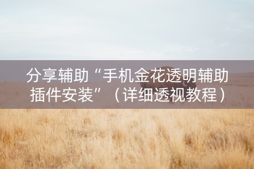 分享辅助“手机金花透明辅助插件安装”（详细透视教程）-哔哩哔哩