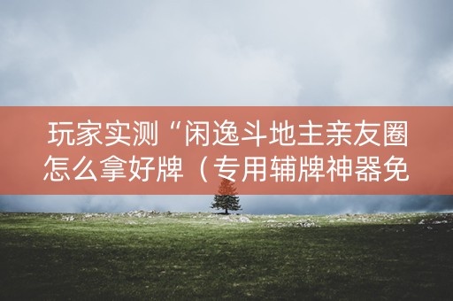 玩家实测“闲逸斗地主亲友圈怎么拿好牌（专用辅牌神器免安装）