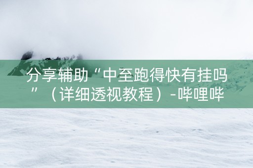 分享辅助“中至跑得快有挂吗”（详细透视教程）-哔哩哔哩