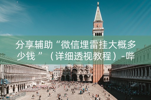 分享辅助“微信埋雷挂大概多少钱 ”（详细透视教程）-哔哩哔哩