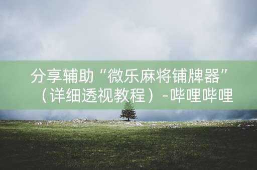 分享辅助“微乐麻将铺牌器”（详细透视教程）-哔哩哔哩