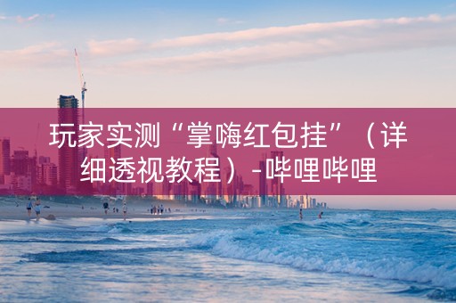 玩家实测“掌嗨红包挂”（详细透视教程）-哔哩哔哩