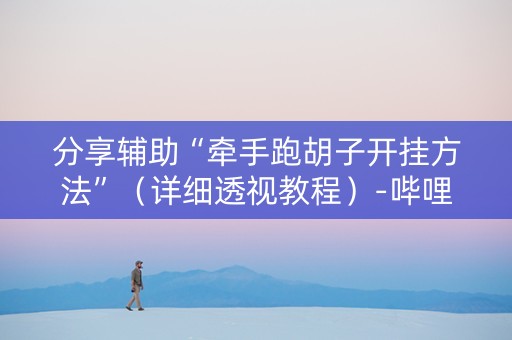 分享辅助“牵手跑胡子开挂方法”（详细透视教程）-哔哩哔哩