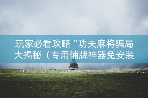 玩家必看攻略“功夫麻将骗局大揭秘（专用辅牌神器免安装）