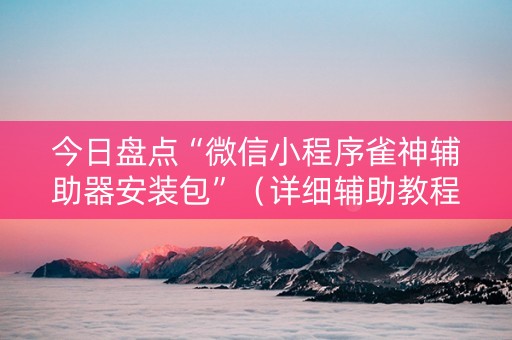 今日盘点“微信小程序雀神辅助器安装包”（详细辅助教程）-哔哩哔哩