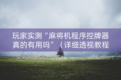 玩家实测“麻将机程序控牌器真的有用吗”（详细透视教程）-哔哩哔哩