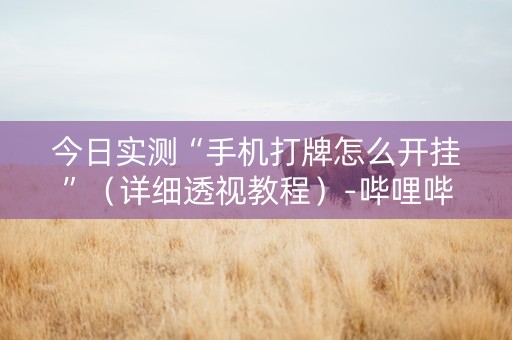 今日实测“手机打牌怎么开挂”（详细透视教程）-哔哩哔哩