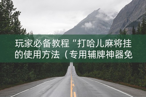 玩家必备教程“打哈儿麻将挂的使用方法（专用辅牌神器免安装）