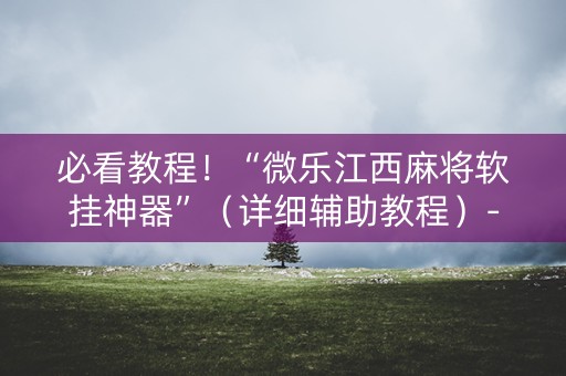 必看教程！“微乐江西麻将软挂神器”（详细辅助教程）-哔哩哔哩