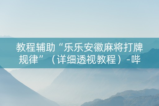 教程辅助“乐乐安徽麻将打牌规律”（详细透视教程）-哔哩哔哩