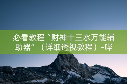 必看教程“财神十三水万能辅助器”（详细透视教程）-哔哩哔哩