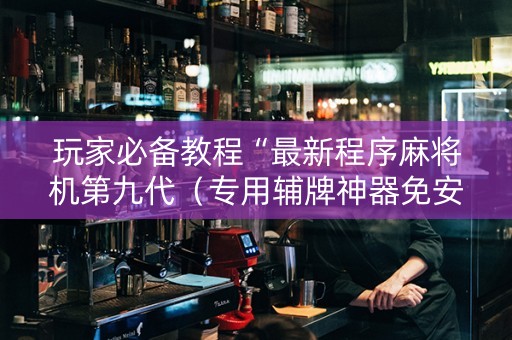 玩家必备教程“最新程序麻将机第九代（专用辅牌神器免安装）