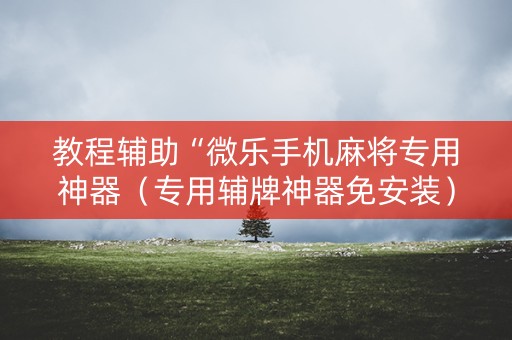 教程辅助“微乐手机麻将专用神器（专用辅牌神器免安装）