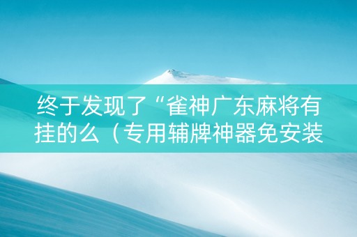 终于发现了“雀神广东麻将有挂的么（专用辅牌神器免安装）