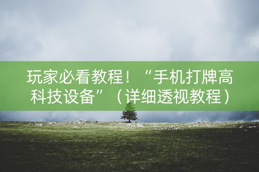 玩家必看教程！“手机打牌高科技设备”（详细透视教程）-哔哩哔哩