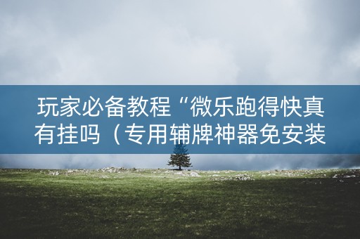 玩家必备教程“微乐跑得快真有挂吗（专用辅牌神器免安装）