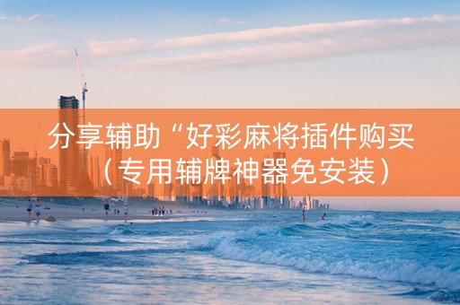 分享辅助“好彩麻将插件购买（专用辅牌神器免安装）