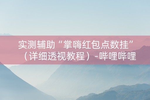 实测辅助“掌嗨红包点数挂”（详细透视教程）-哔哩哔哩