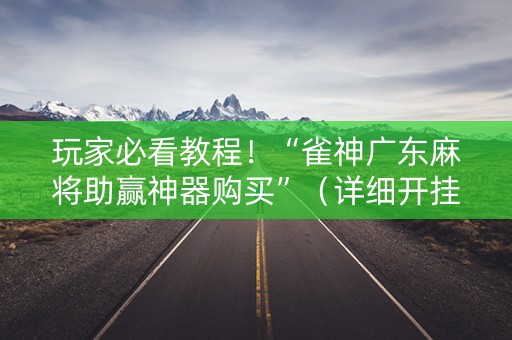 玩家必看教程！“雀神广东麻将助赢神器购买”（详细开挂教程）-哔哩哔哩
