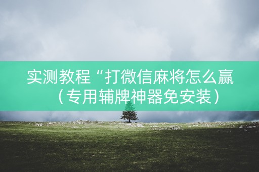 实测教程“打微信麻将怎么赢（专用辅牌神器免安装）