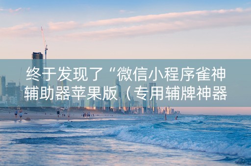 终于发现了“微信小程序雀神辅助器苹果版（专用辅牌神器免安装）