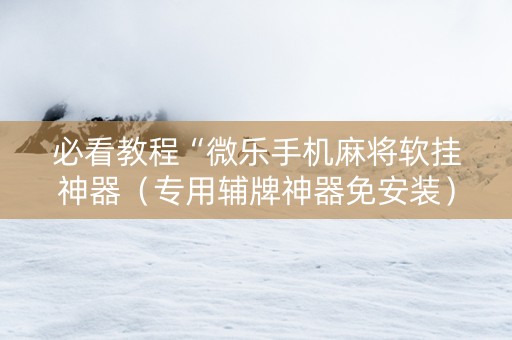 必看教程“微乐手机麻将软挂神器（专用辅牌神器免安装）