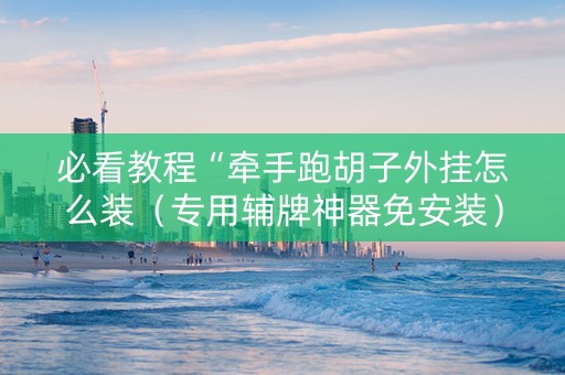 必看教程“牵手跑胡子外挂怎么装（专用辅牌神器免安装）