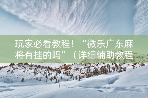 玩家必看教程！“微乐广东麻将有挂的吗”（详细辅助教程）-哔哩哔哩