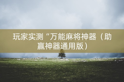 玩家实测“万能麻将神器（助赢神器通用版）