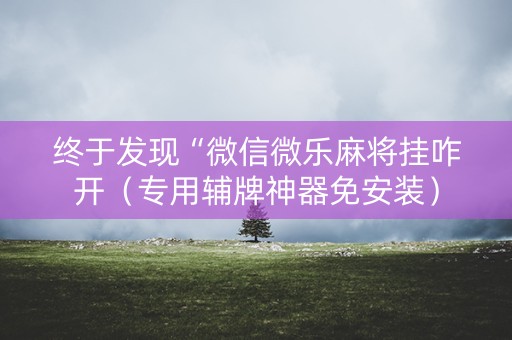 终于发现“微信微乐麻将挂咋开（专用辅牌神器免安装）