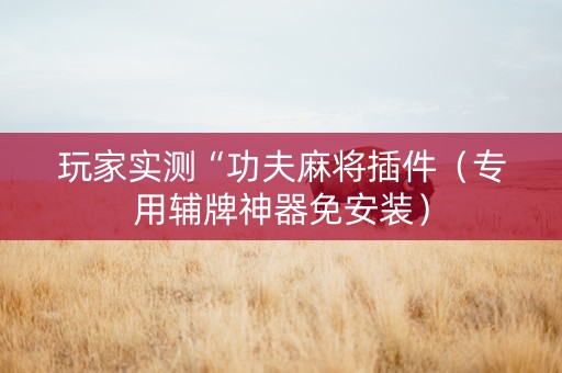玩家实测“功夫麻将插件（专用辅牌神器免安装）