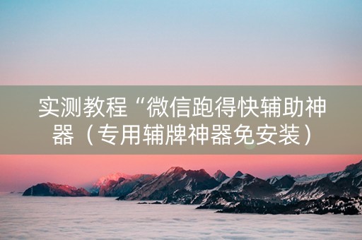 实测教程“微信跑得快辅助神器（专用辅牌神器免安装）