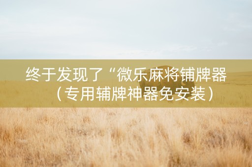 终于发现了“微乐麻将铺牌器（专用辅牌神器免安装）