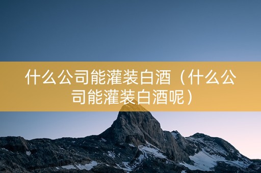 什么公司能灌装白酒（什么公司能灌装白酒呢）