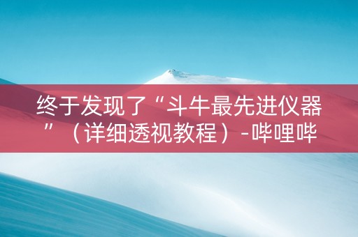 终于发现了“斗牛最先进仪器”（详细透视教程）-哔哩哔哩